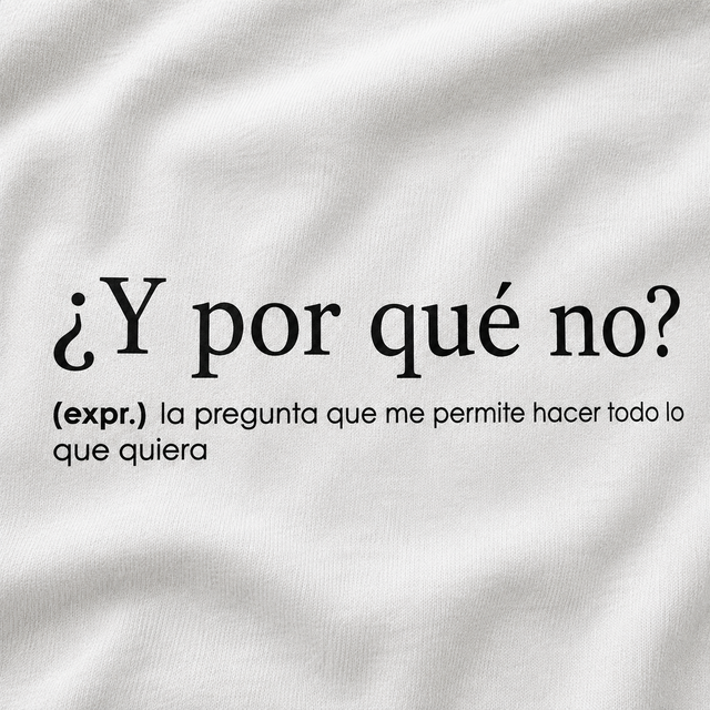 ¿Y por qué no? - Camisetas